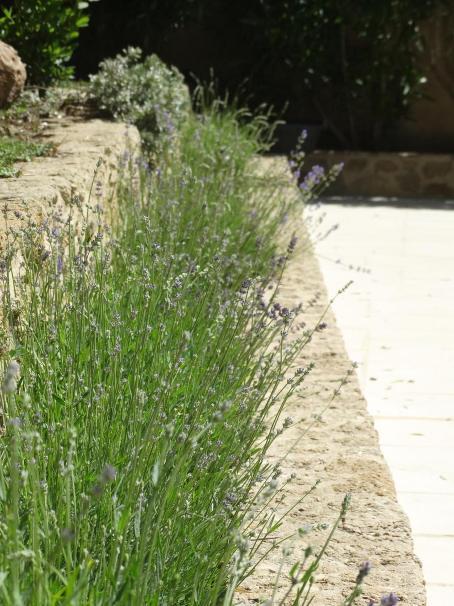 Apartment En Le Clos De La Cerise *