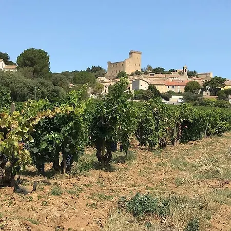 Gîtes en B&B Le Clos de la Cerise Châteauneuf-du-Pape Exterior foto
